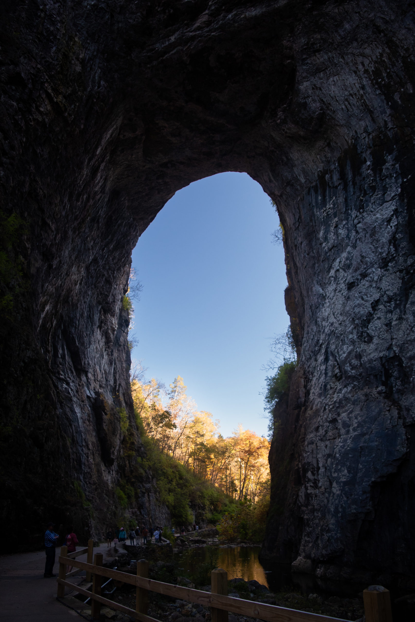 Local Trail Spotlight Natural Bridge State Park The Rampage   Nb 3 1 Scaled 